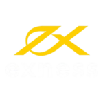 exness-logo-1146BD9376-seeklogo.com-removebg-preview